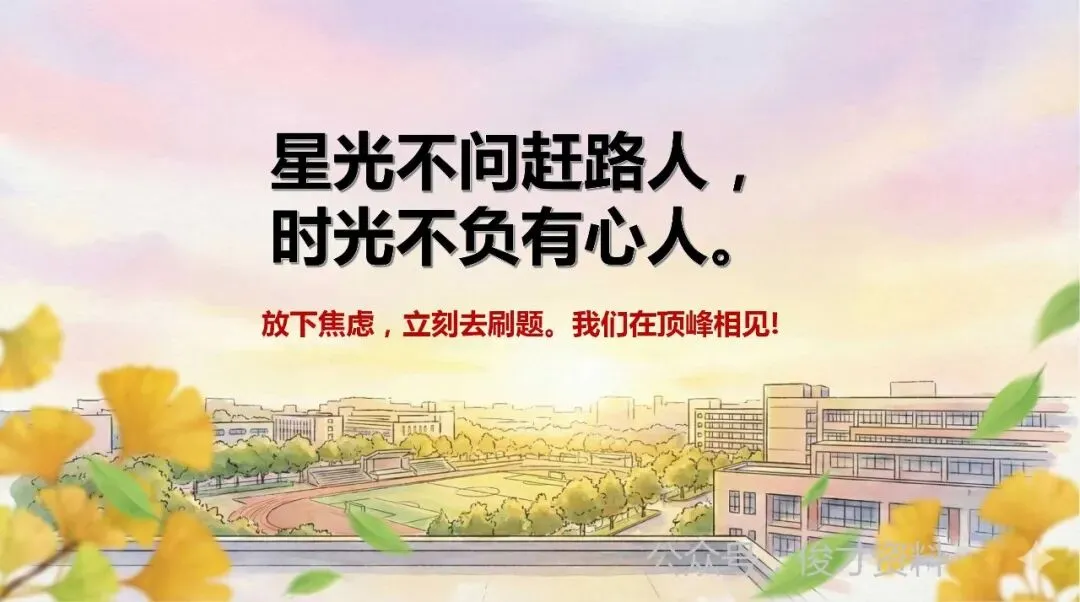 初三中考百日冲刺誓师班会ppt:最后一百天,黑马还是炮灰?含教案、讲稿 第25张