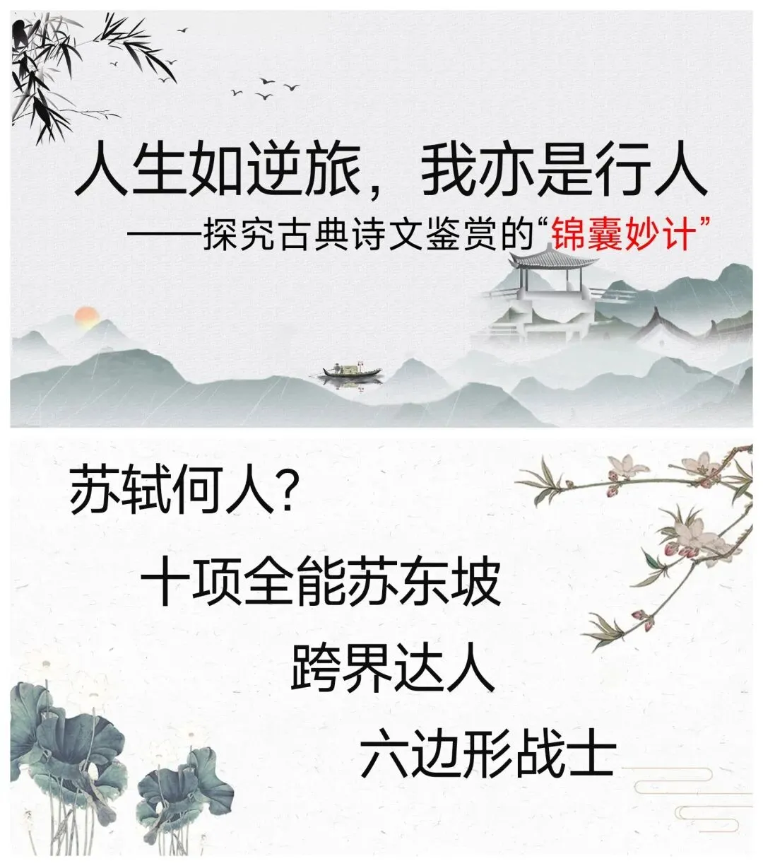 中考语文复习之苏轼专题 第3张