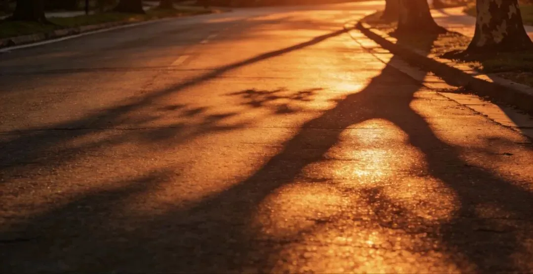 唯美~中考范文|少年与黄昏 第1张