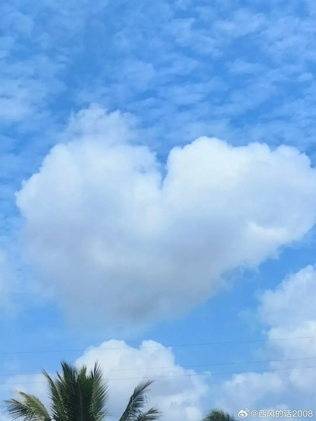 考研英语真题真刷详解版2019-2023真题(核心词汇) 第1张