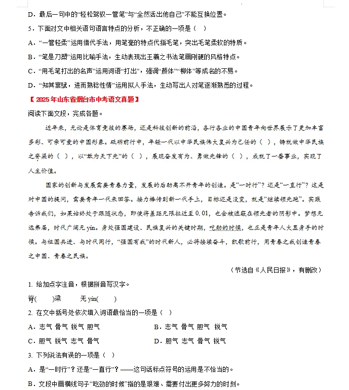 2023—2025年山东省中考语文真题汇编(山东版语文中考真题)三年中考分类汇编 第3张