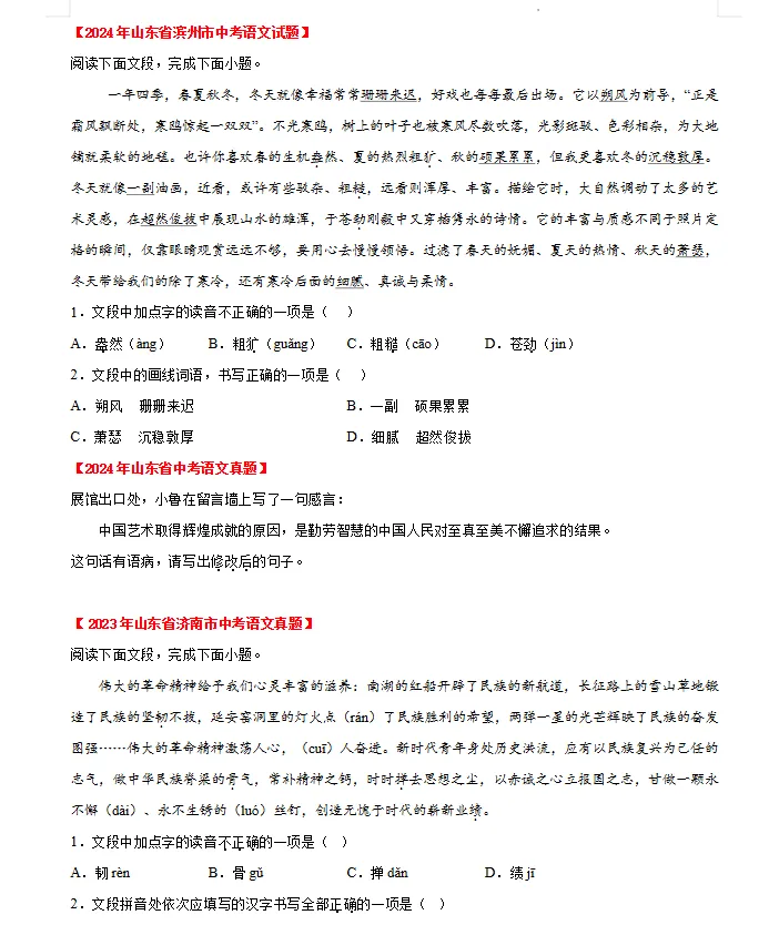 2023—2025年山东省中考语文真题汇编(山东版语文中考真题)三年中考分类汇编 第4张