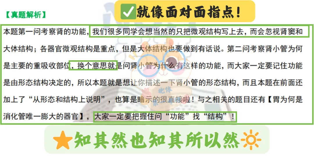 27《脑图》-《背诵笔记》-《真题宝典》来啦!今年向着零错别字前进,由全到细! 第9张