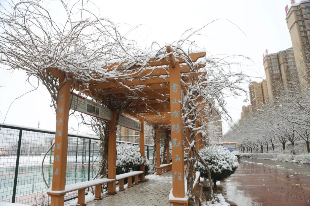 研备中考 聚力前行||兴国中学承办秦安县2026年中考备考(数学、道德与法治、历史)研讨活动 第17张