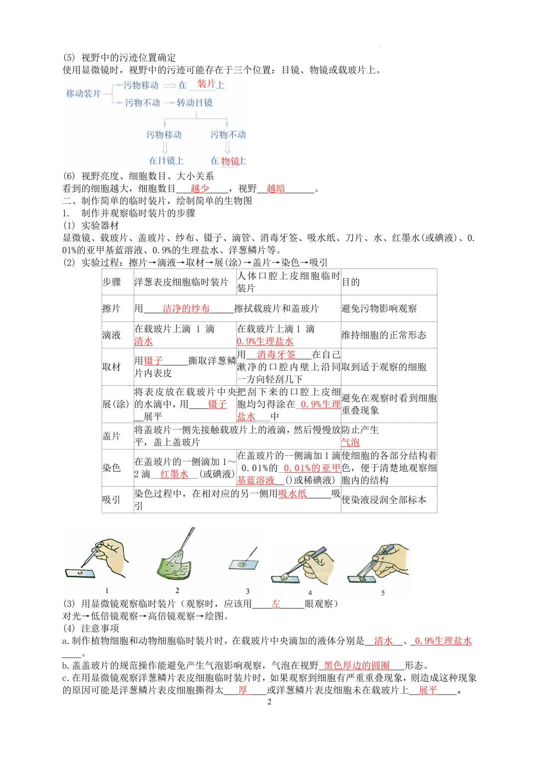 2026中考科学---生物知识点第一讲 第2张