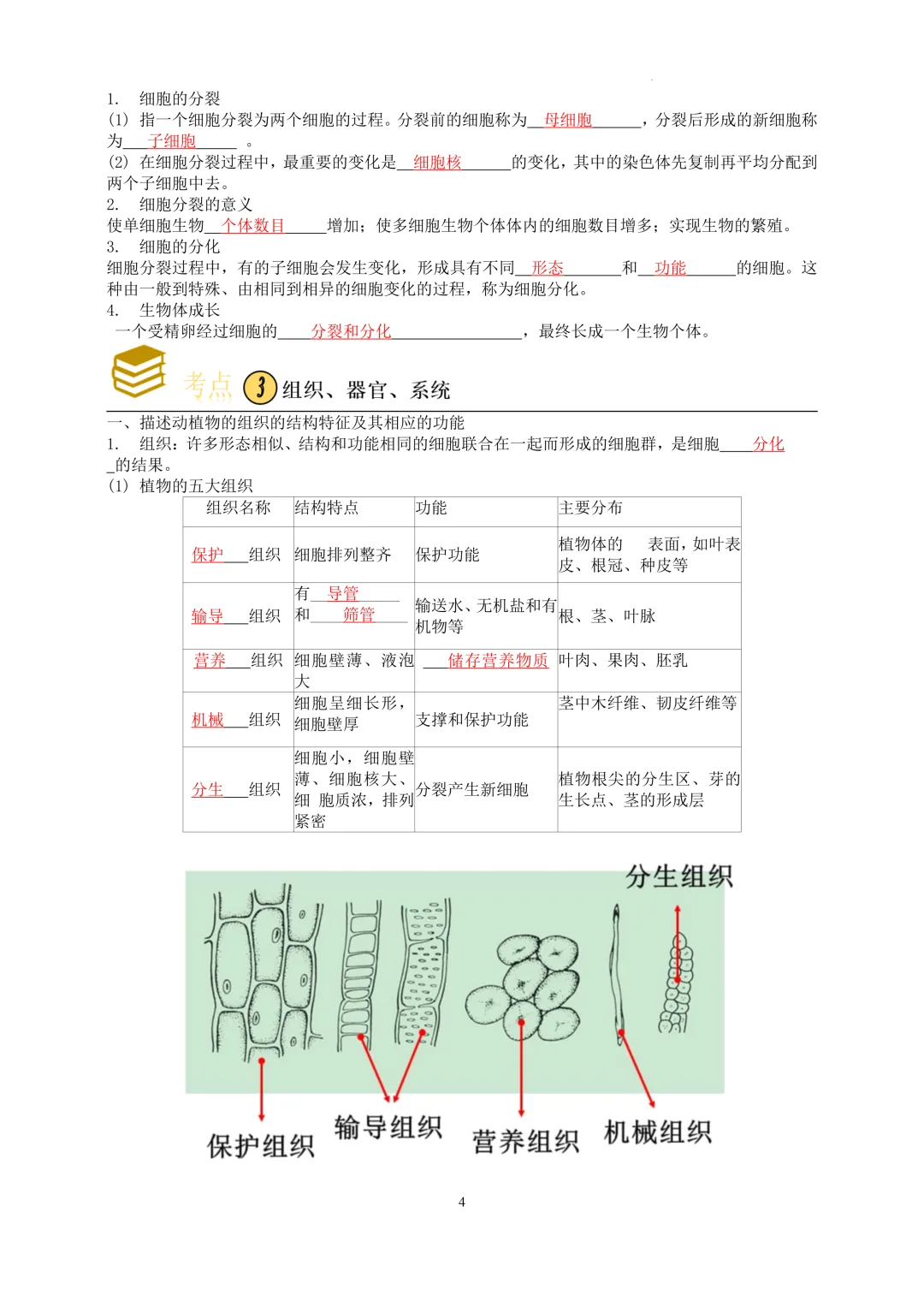 2026中考科学---生物知识点第一讲 第4张