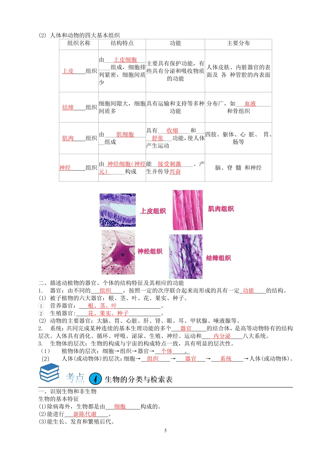 2026中考科学---生物知识点第一讲 第5张