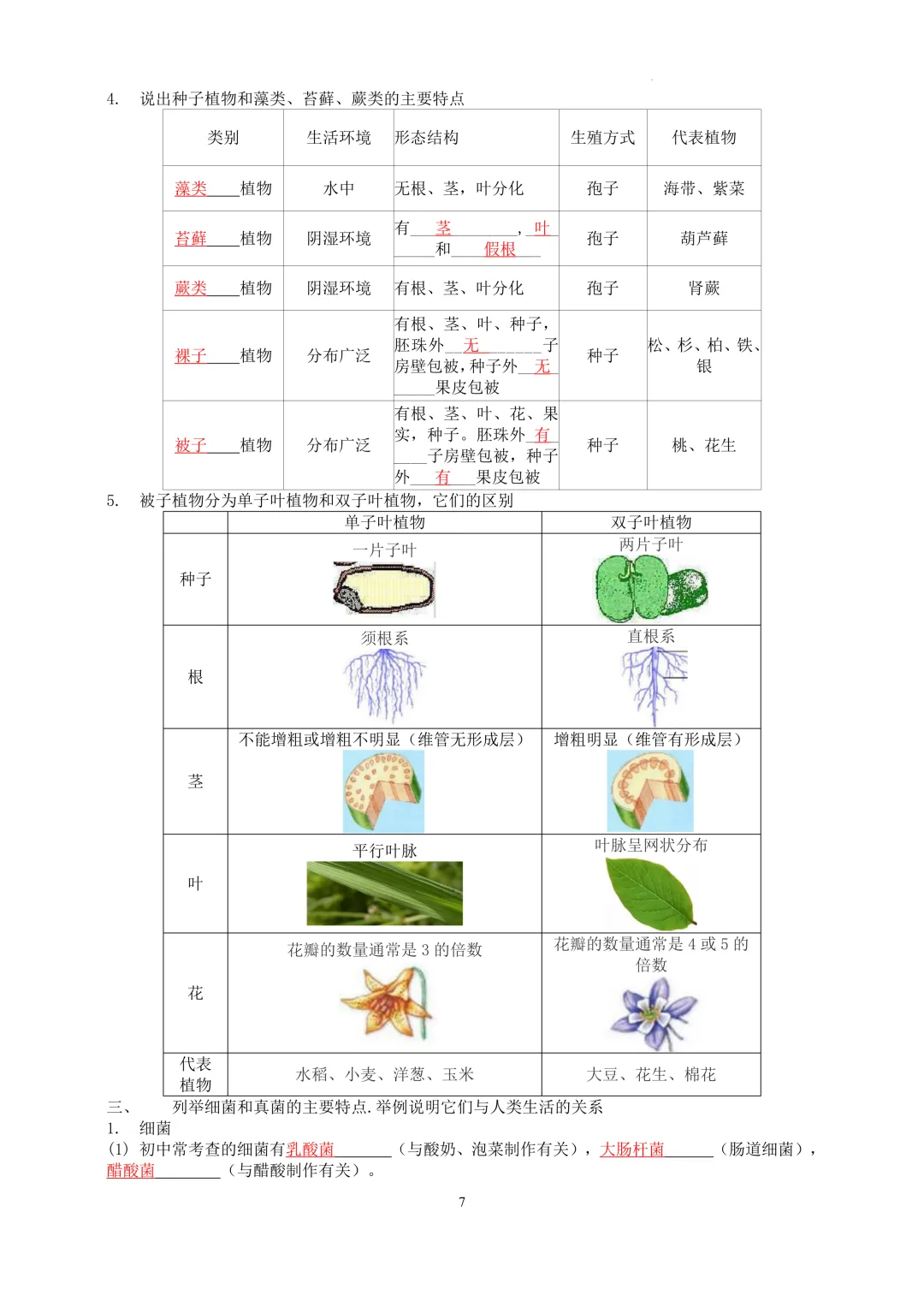 2026中考科学---生物知识点第一讲 第7张