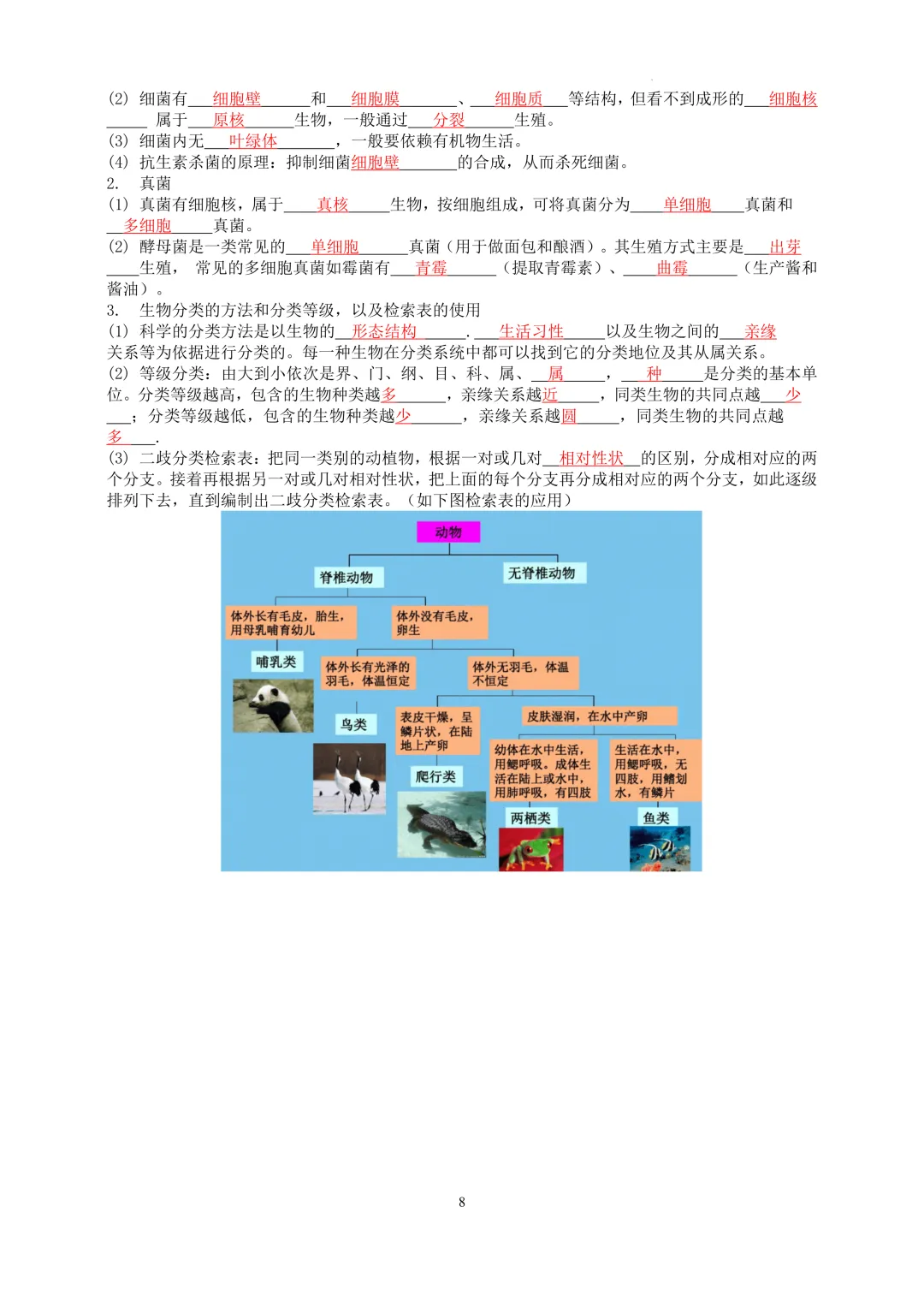 2026中考科学---生物知识点第一讲 第8张