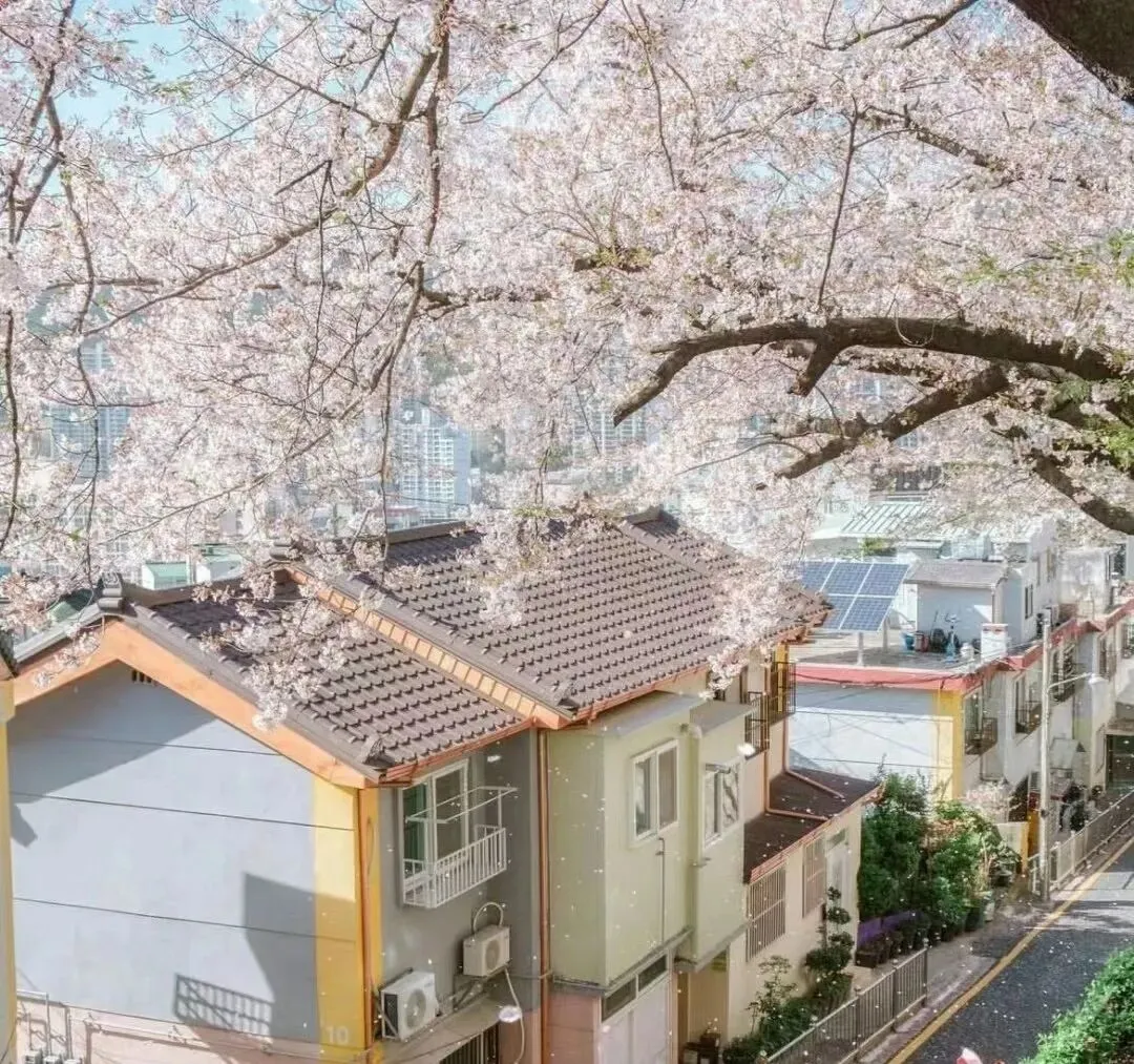 鲁城中学中考作文训练优秀作文汇编(第一期) 第4张