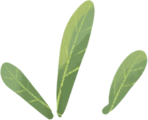 规范组织模考 精准赋能备考——我校顺利完成全市高三年级第一次 第7张