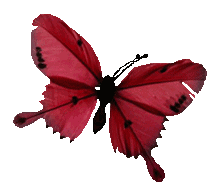 中考倒计时丨乾坤未定,你我皆是黑马! 第23张