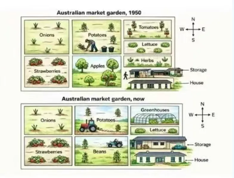 2026年3月14日雅思小作文真题和范文 第1张