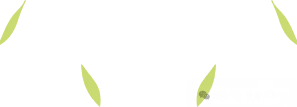 福建省泉州市2026届高中毕业班模拟考试(一)(泉州三检)全科试卷含答案 第6张