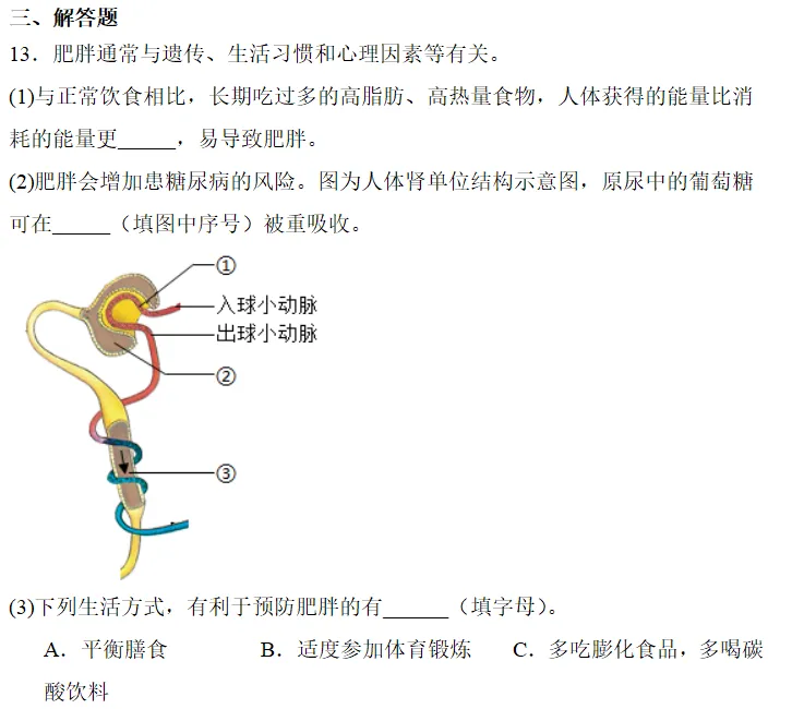中考科学刷刷刷二(浙教版) 第10张