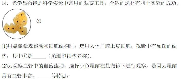 中考科学刷刷刷二(浙教版) 第11张