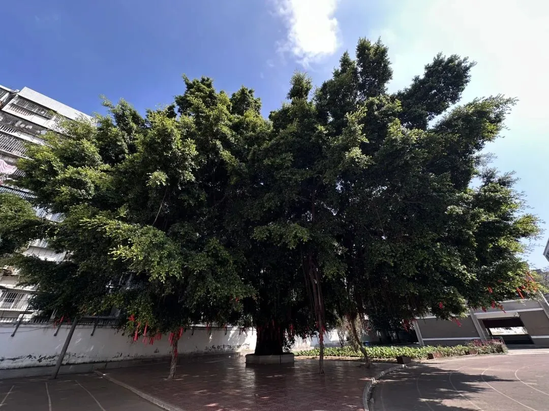 家有中考娃,家长没周末~ 第3张