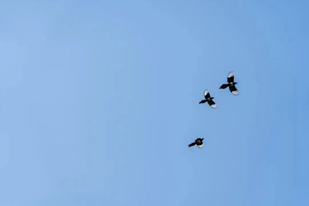 扎心了|广州中考选学校,加工能力根本不存在? 第1张