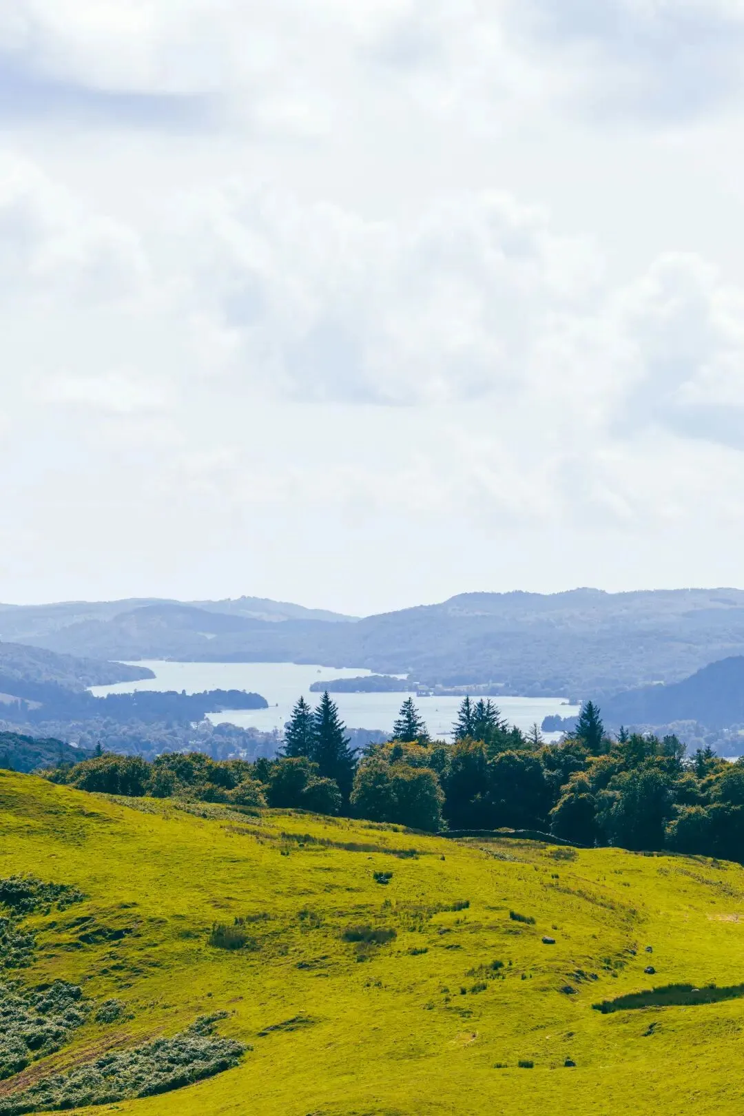 扎心了|广州中考选学校,加工能力根本不存在? 第2张