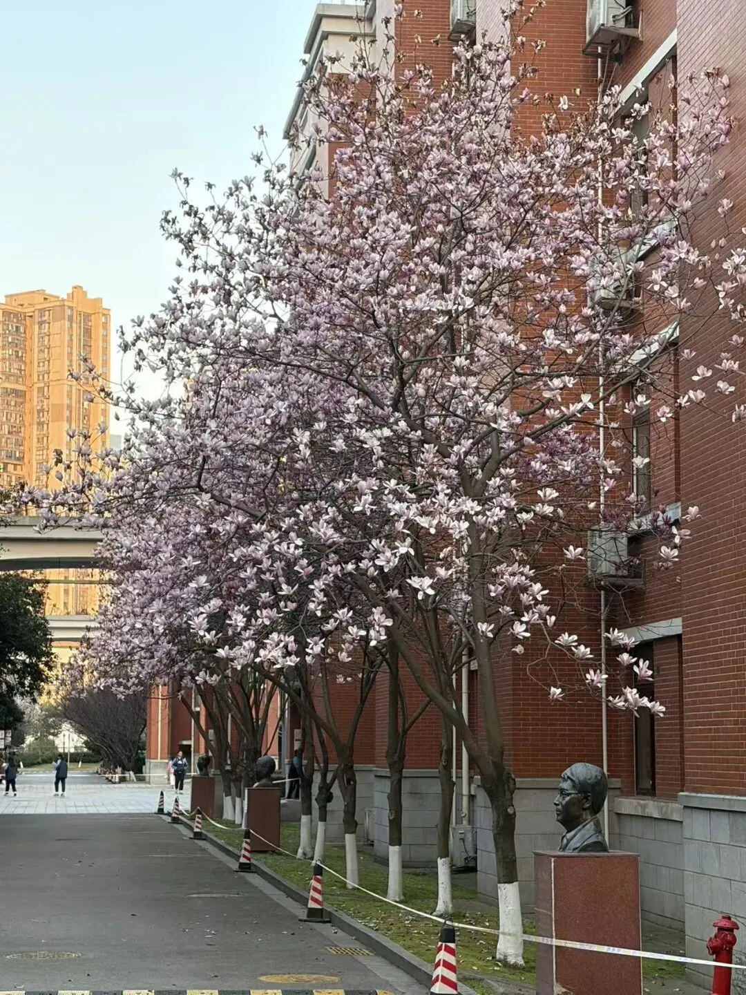 ||中考倒计时97天 周五晚上的腐败 第2张