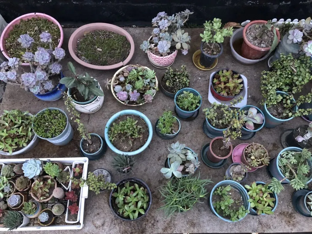 中考倒计时不足100天,开学第二周的生活磁片 第1张