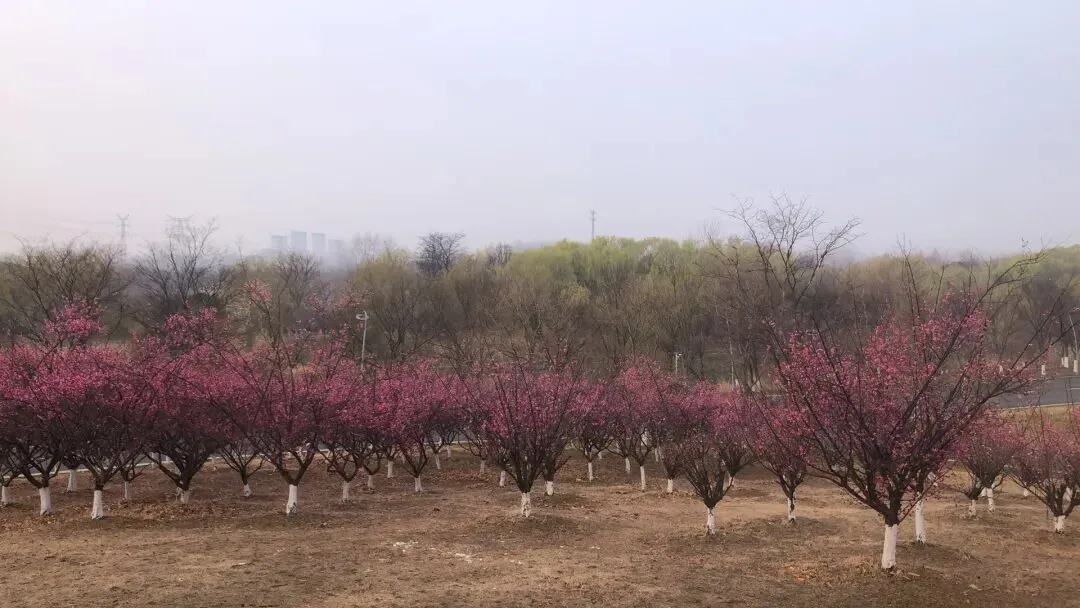 中考倒计时不足100天,开学第二周的生活磁片 第2张