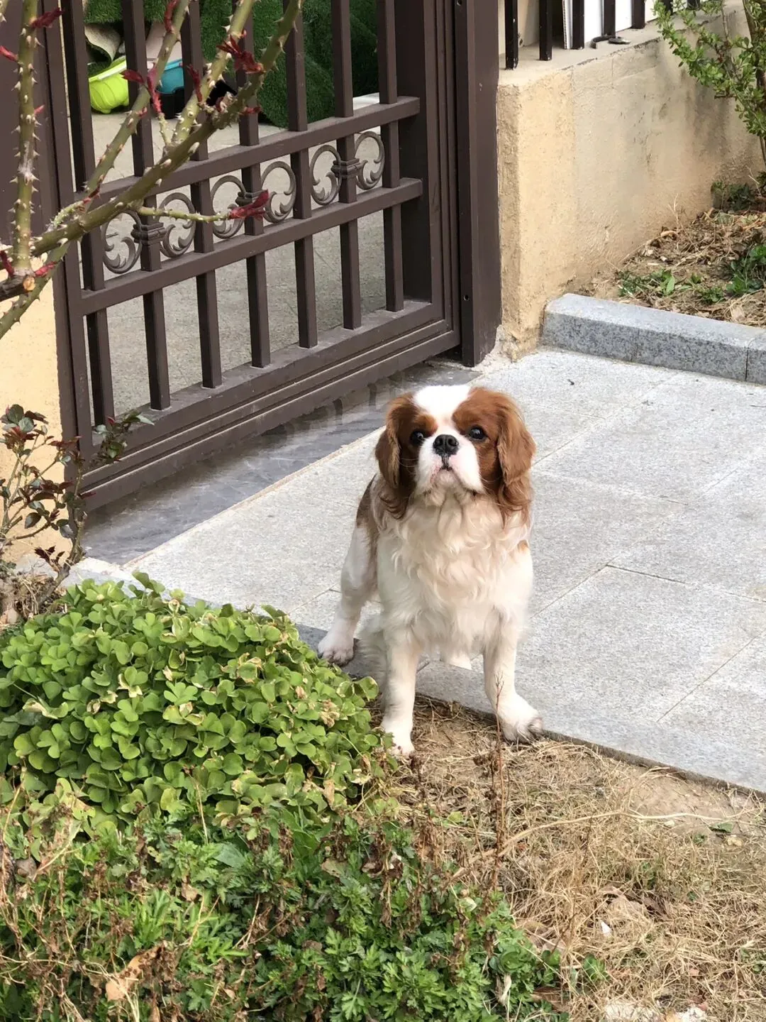 中考倒计时不足100天,开学第二周的生活磁片 第3张