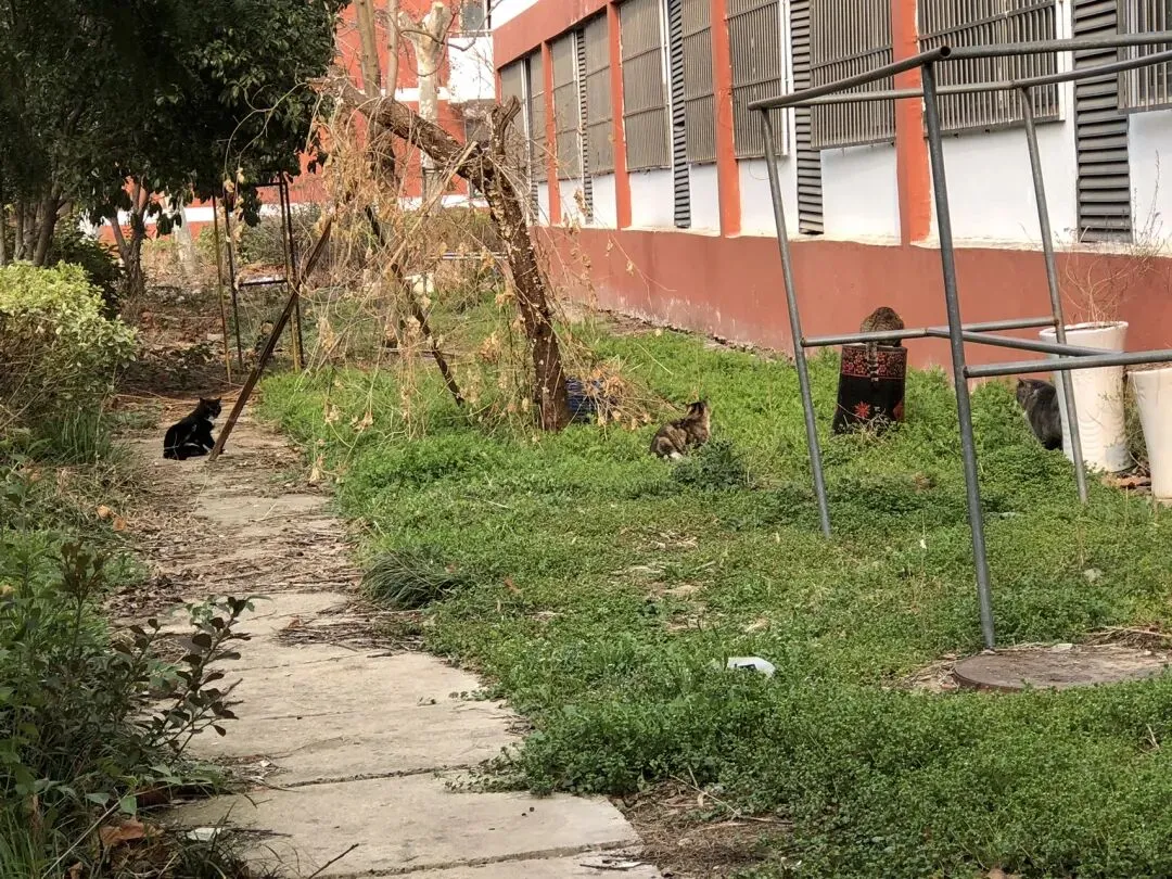 中考倒计时不足100天,开学第二周的生活磁片 第11张