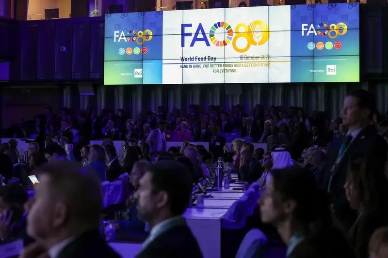 2026年云南省三支一扶招募笔试历年真题卷答案往年试卷答案2026年云南省高校毕业生三支一扶招募笔试重要考点之图解云南省十五五规划纲要 第33张 2026年云南省三支一扶招募笔试历年真题卷答案往年试卷答案2026年云南省高校毕业生三支一扶招募笔试重要考点之图解云南省十五五规划纲要 第33张