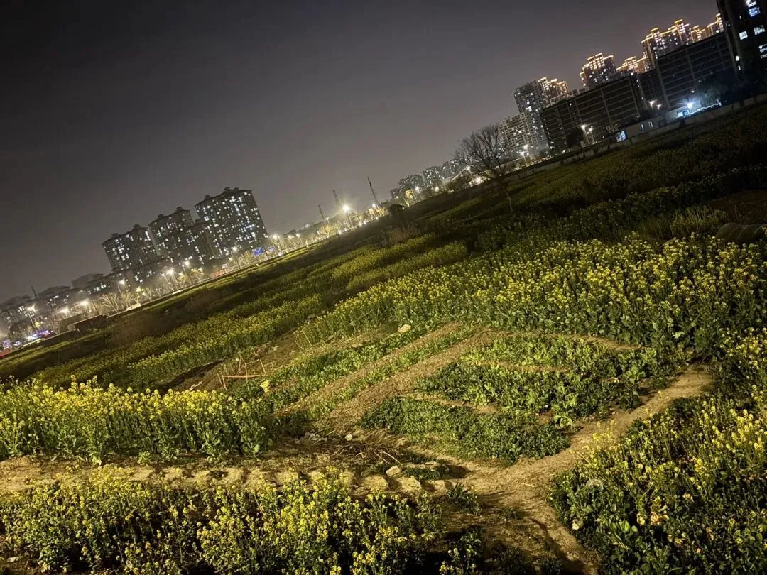 女儿中考倒计时96天—一定要笑口常开啊 第9张