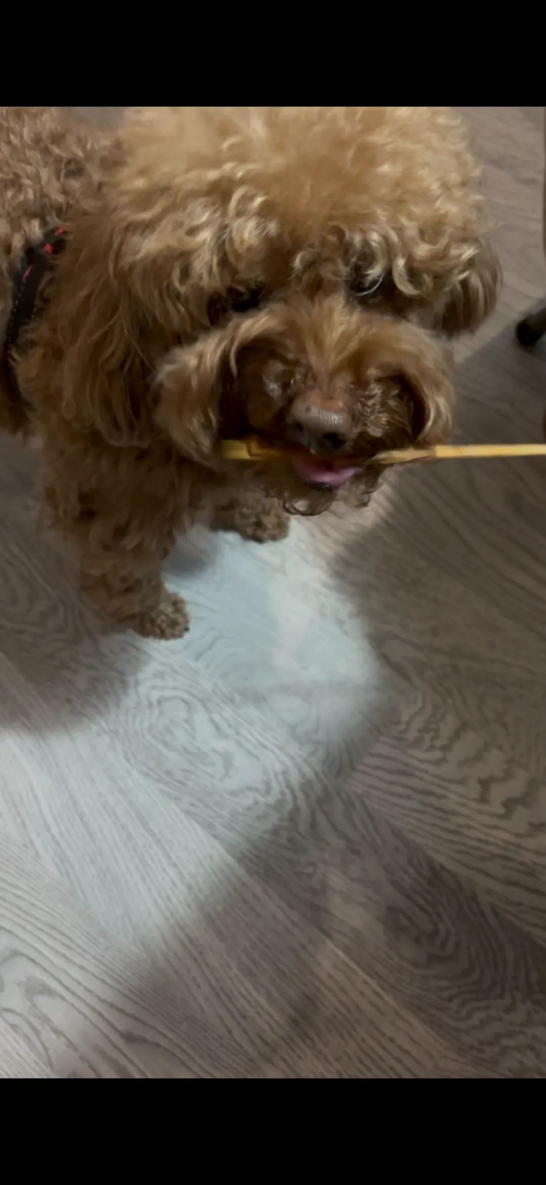 女儿中考倒计时96天—一定要笑口常开啊 第10张