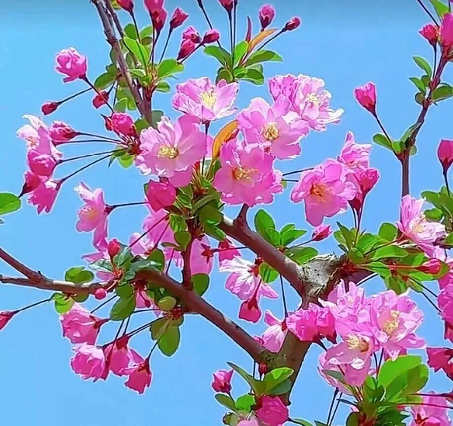 中考冲刺百日倒计时:教学及管理一体化攻坚方案 第2张