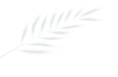 2026西安曲江一中中考数学二模【高清重排】 第33张