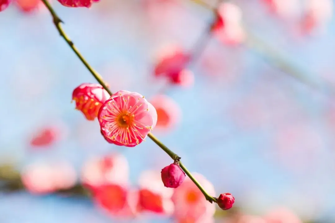 中考数学压轴题备考中的常见误区 第1张 中考数学压轴题备考中的常见误区 第1张