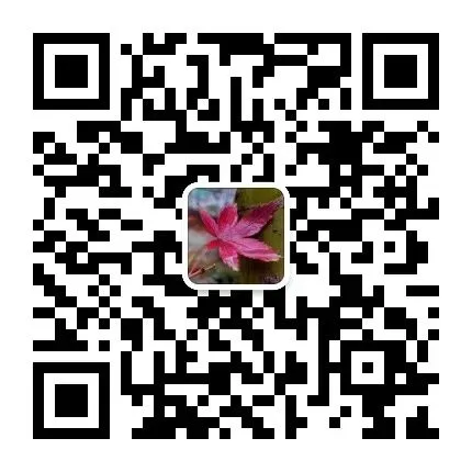 2026年河南省考申论真题答案解析(县乡级卷) 第1张