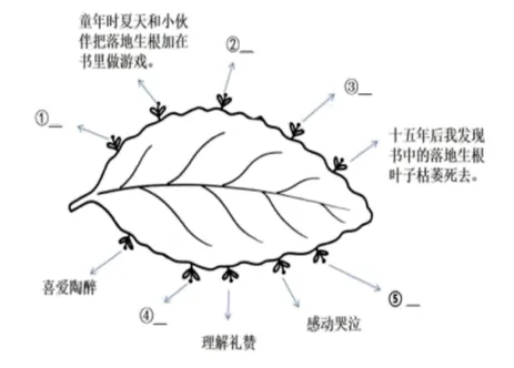 中考复习——抒情的分类及作用 专题练习2025 第1张