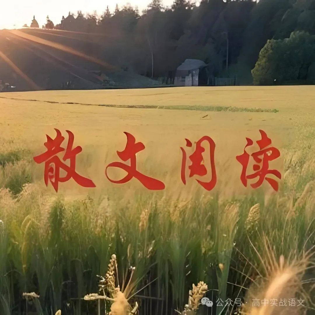 【对标2025作文真题】14大核心作文母题(精品解析+优秀范文) 第5张