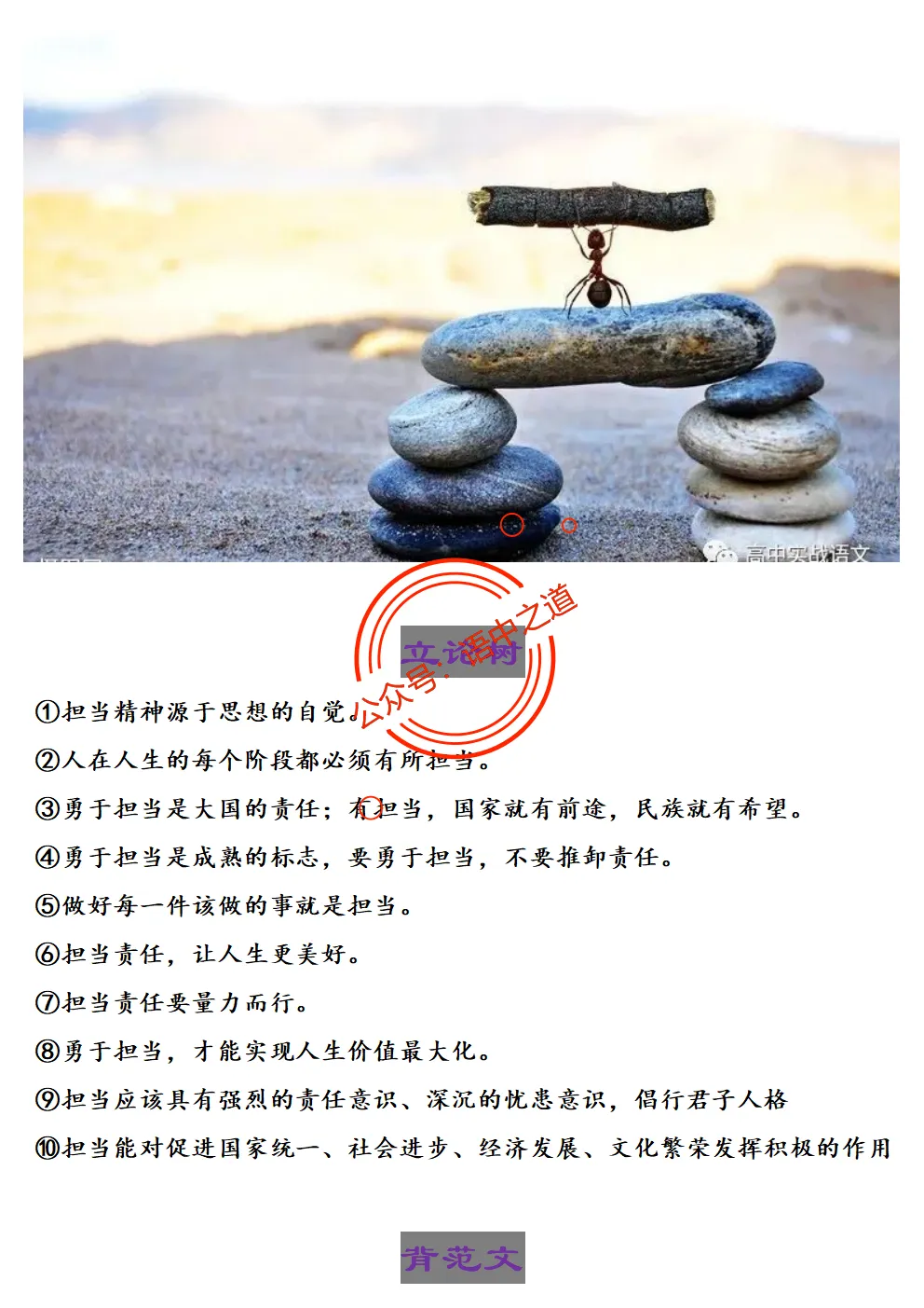 【对标2025作文真题】14大核心作文母题(精品解析+优秀范文) 第46张