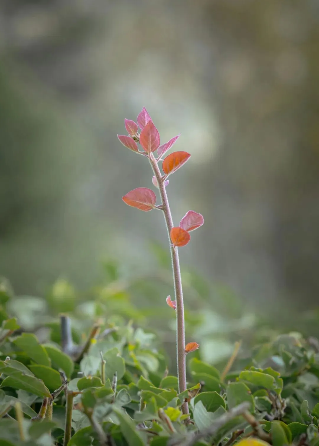 别被骗了|广州中考重点班承诺,进去才知道有多坑 第1张