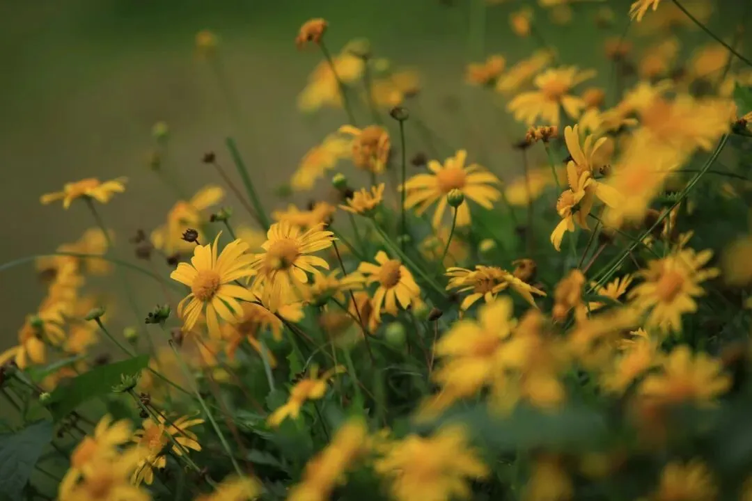 别被骗了|广州中考重点班承诺,进去才知道有多坑 第2张