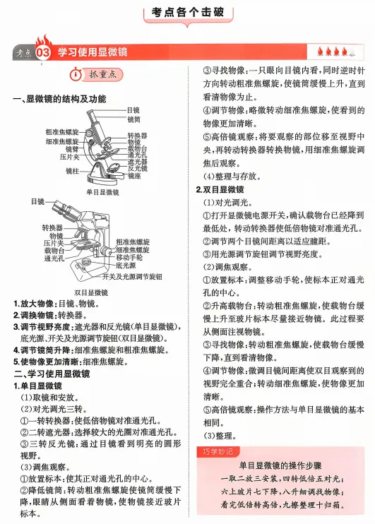 2026中考生物核心考点强化练习,打印一份给孩子吃透了,考试轻松拿下90分! 第7张