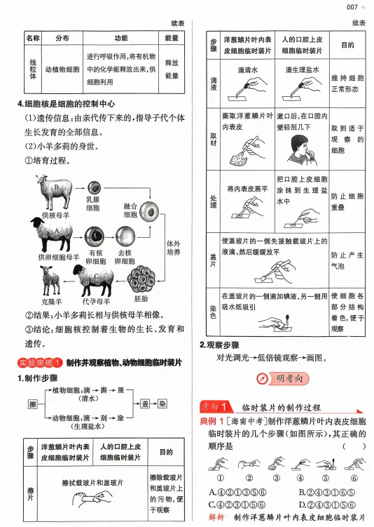 2026中考生物核心考点强化练习,打印一份给孩子吃透了,考试轻松拿下90分! 第10张