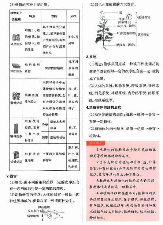 2026中考生物核心考点强化练习,打印一份给孩子吃透了,考试轻松拿下90分! 第12张