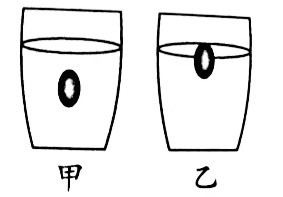 【视频】中考复习:如何用“平衡法”分析浮力问题 第2张