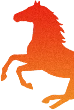 同心聚力战中考 少年奋楫向未来--合江少岷初中初2023级中考冲刺大会燃情启幕 第5张