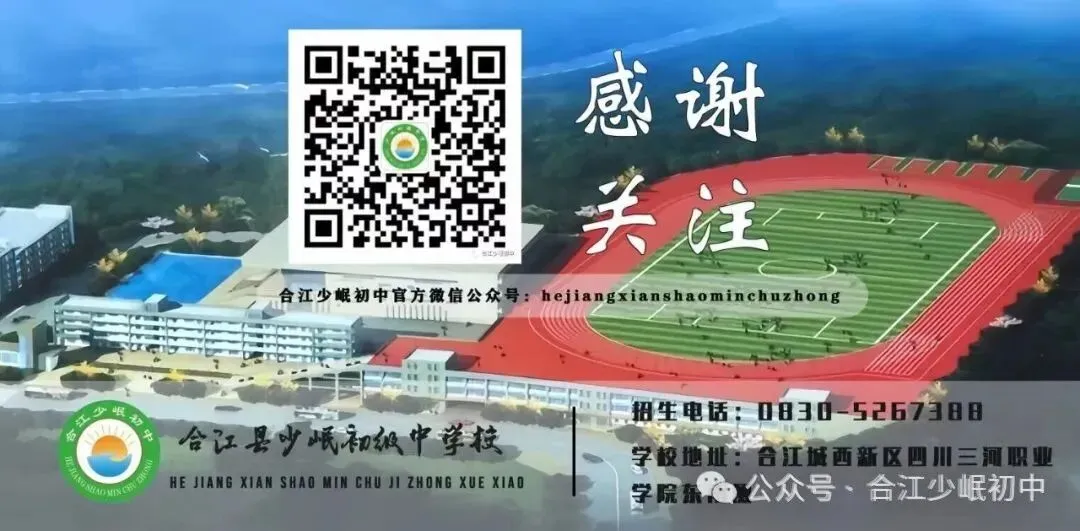 同心聚力战中考 少年奋楫向未来--合江少岷初中初2023级中考冲刺大会燃情启幕 第34张