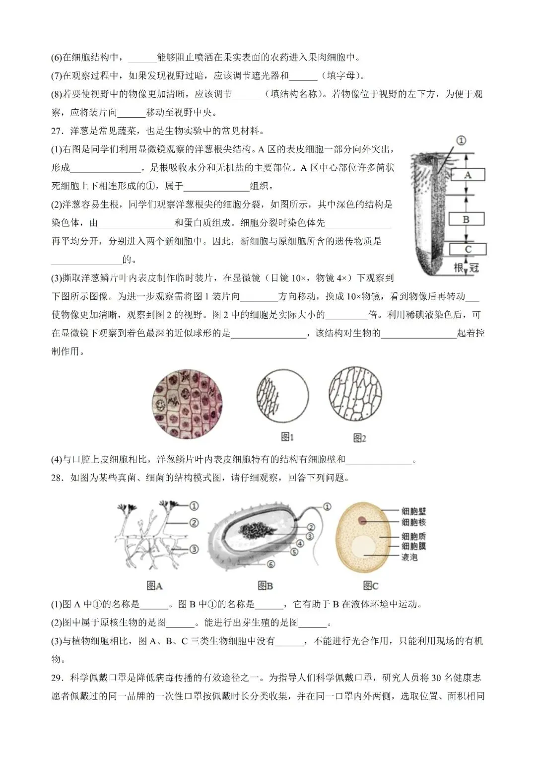 【苏科】七下生物期末试卷期末测试卷02 第5张