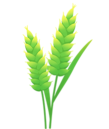 中考复习:你是如何利用语文课本的? 第1张