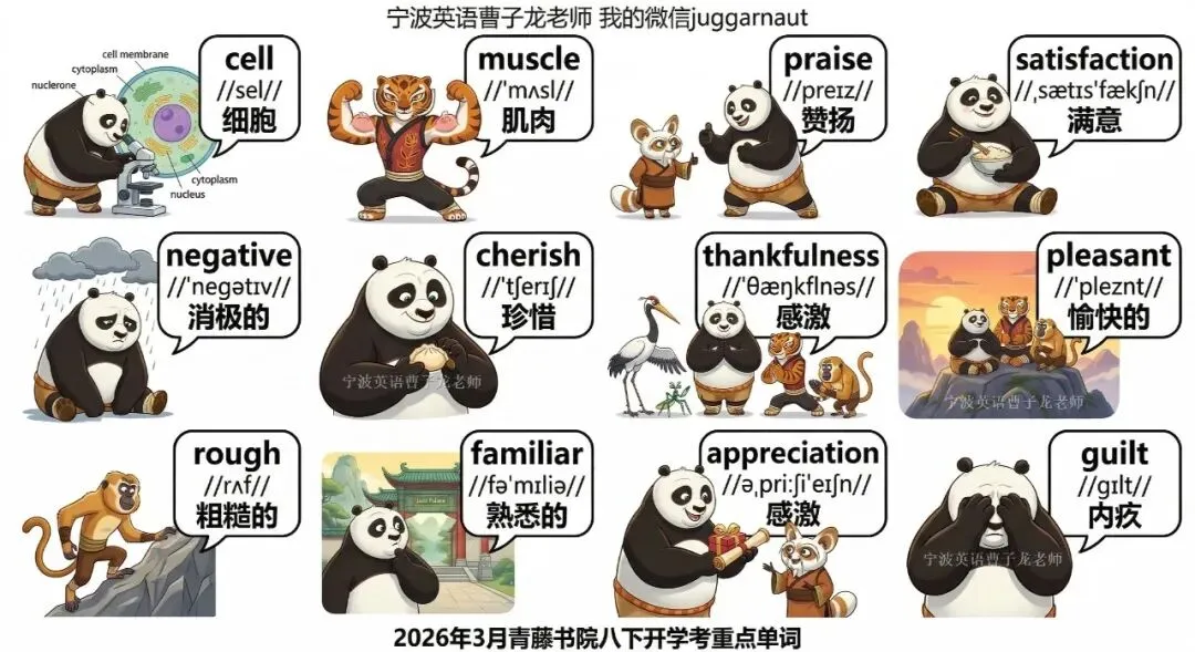 宁波青藤书院听力真题,听力都有音频,内部做全卷,先发学生原卷家里做,上课听我讲解全卷,权威,讲解考点+修改作文+管理校内错题 第16张