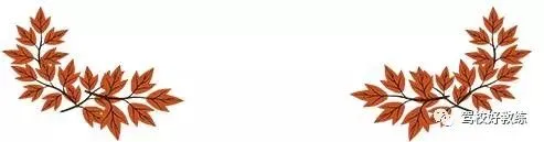 湖北省2023届高三4月调研模拟考试(湖北四调)数学试题 第7张